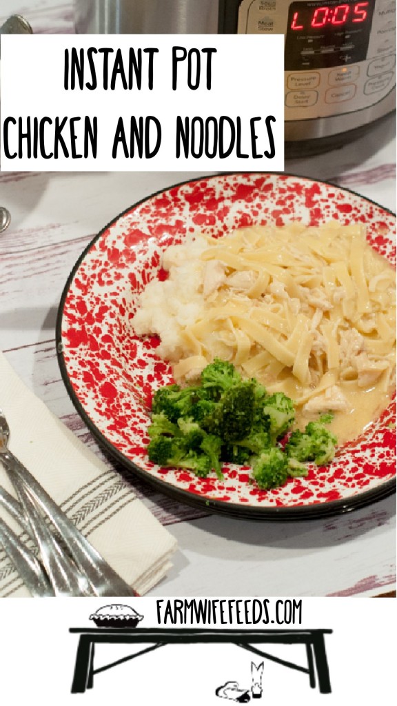Red enamel plate with mashed potatoes, chicken noodles and steamed broccoli with an Instant Pot in the background