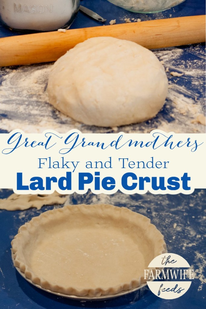 A ball of lard pie dough and a prepared pie crust in a dish, set on a floured surface with a rolling pin, showcasing the process of making a flaky and tender homemade pie crust.