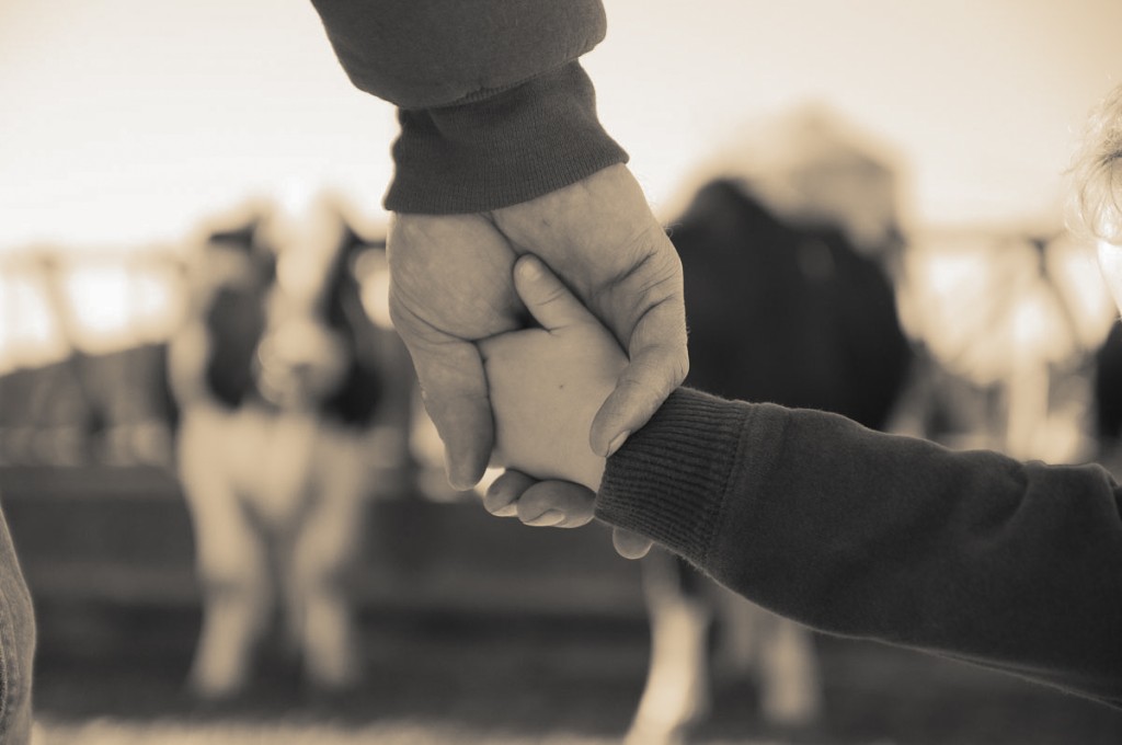 An adult and child holding hands, standing in front of blurred cows, symbolizing generational connection and shared farm life.
