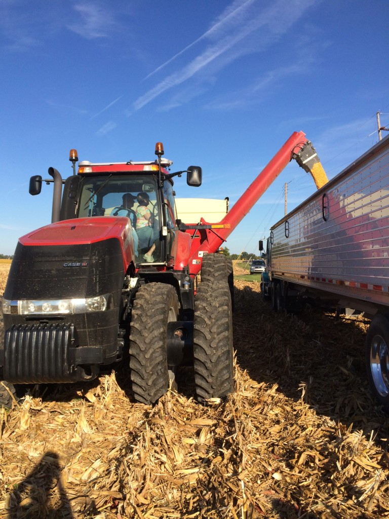 Woman riding in a red Case IH tractor unloading corn during harvest, continuing her legacy of working on the farm.